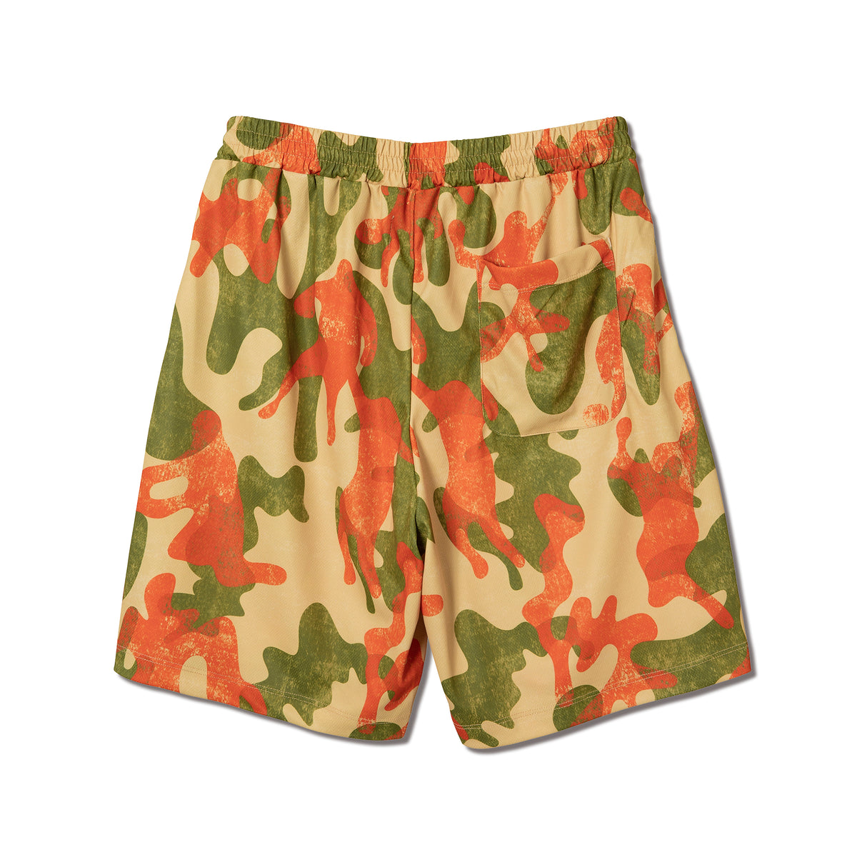 PLAY CAMO 6.5-INCH SHORTS BG – AKTR OFFICIAL