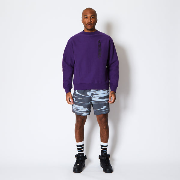 WILD-CARD SWEAT CREW NECK PL
