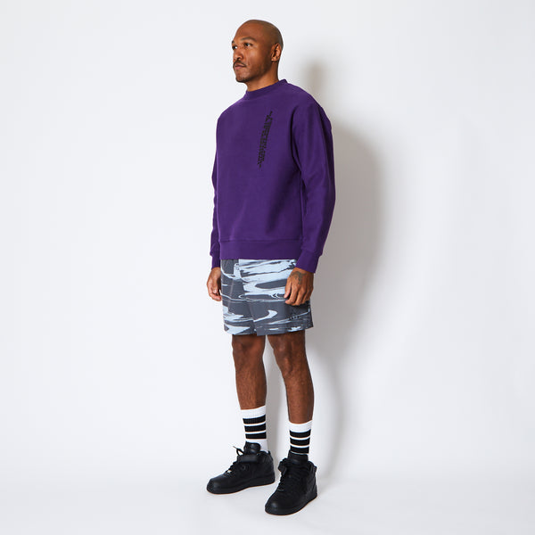 WILD-CARD SWEAT CREW NECK PL