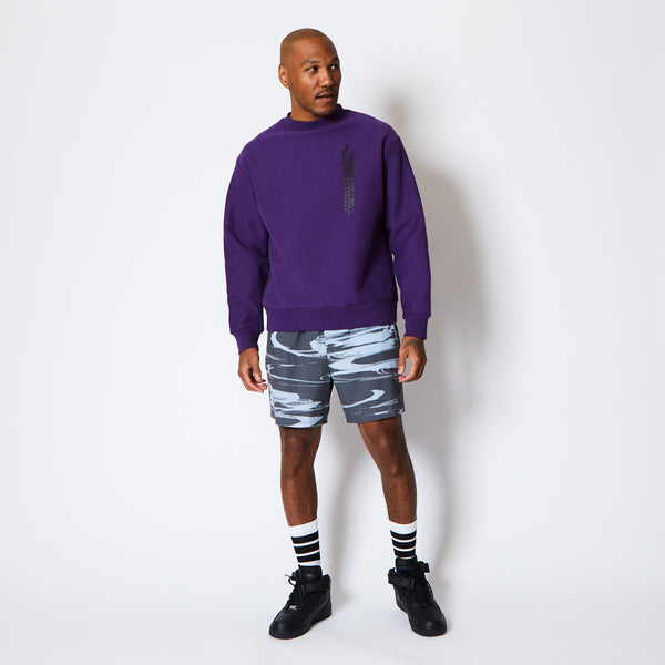 WILD-CARD SWEAT CREW NECK PL