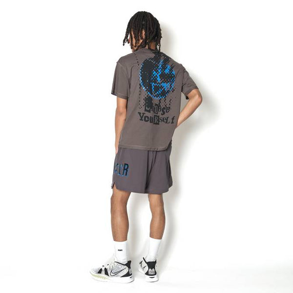 F.A. DESTROY LOGO WIDE 5.5 SHORTS CH