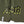 Load image into Gallery viewer, F.A. DESTROY LOGO WIDE 5.5 SHORTS OL
