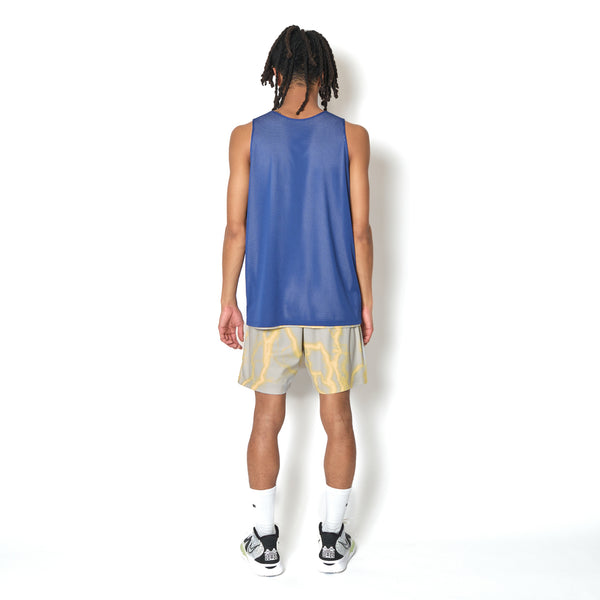 THUNDERBOLT REVERSIBLE TANK LGYxBL