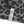 Load image into Gallery viewer, F.A. LEOPARD WIDE 5.5″ SHORTS CH
