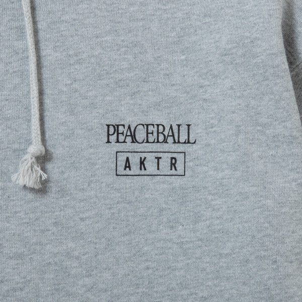 AKTR PUP PLAYGROUND HOODIE GY